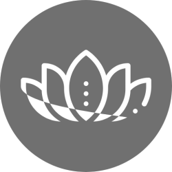 cropped-SALON-JONO-FAVICON-1.png